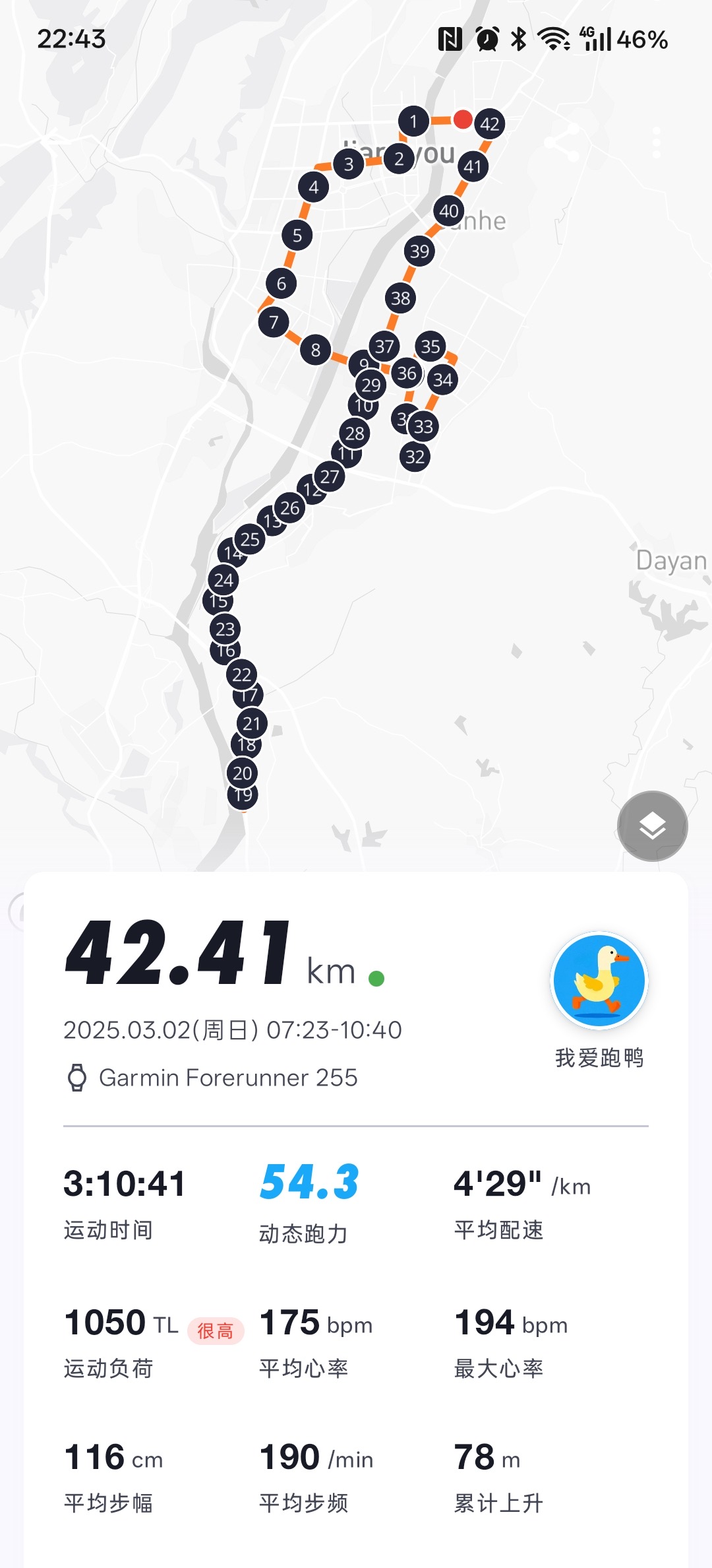 训练详情